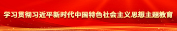 日女人B网学习贯彻习近平新时代中国特色社会主义思想主题教育